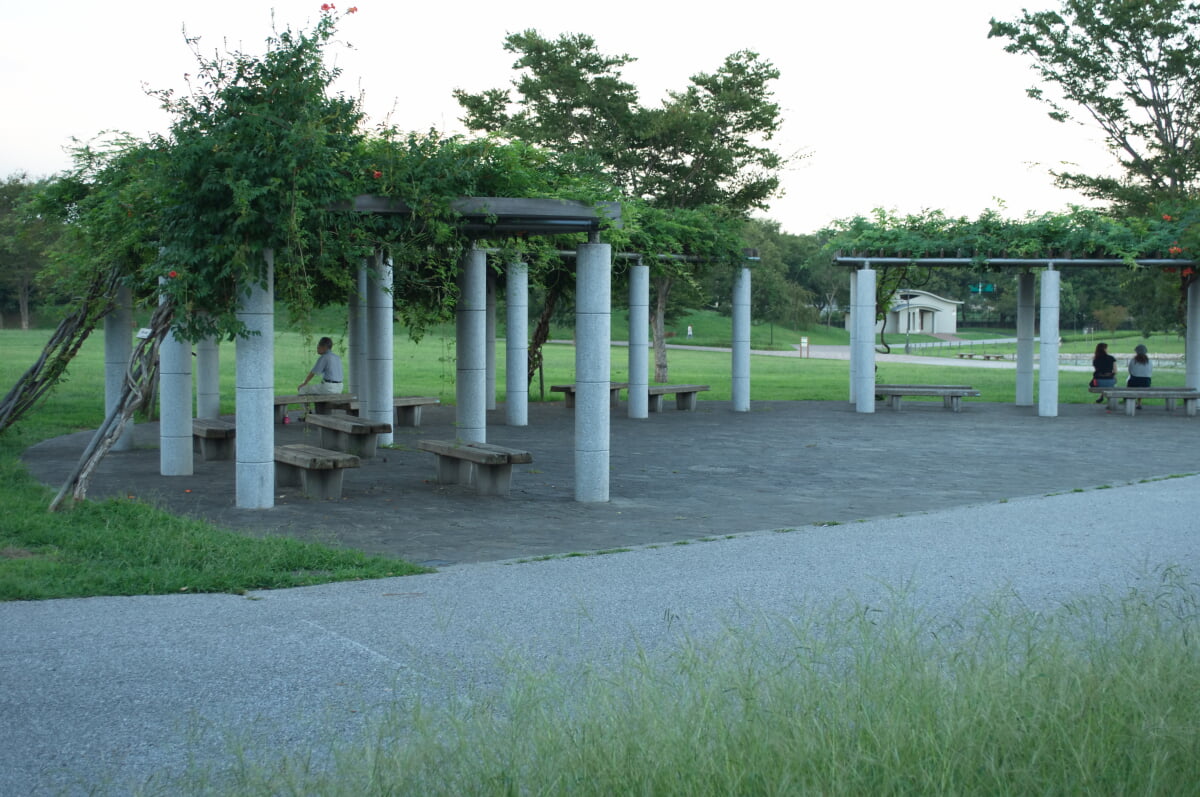 武蔵野の森公園の写真5