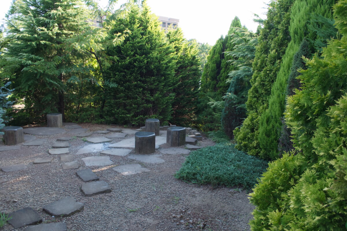 武蔵野の森公園の写真11