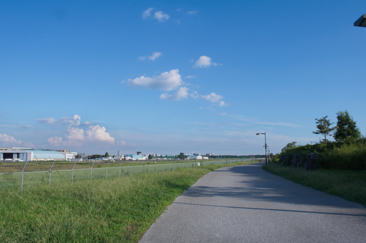 武蔵野の森公園の写真12