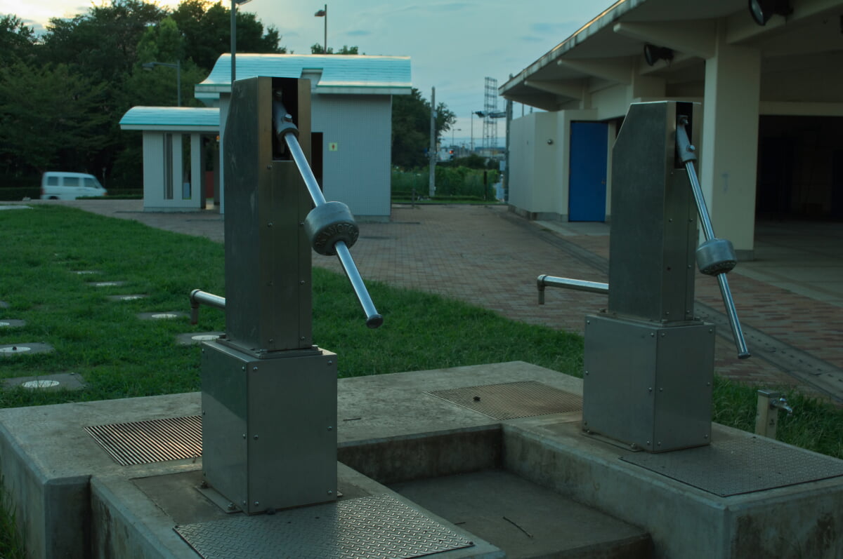 武蔵野の森公園の写真13