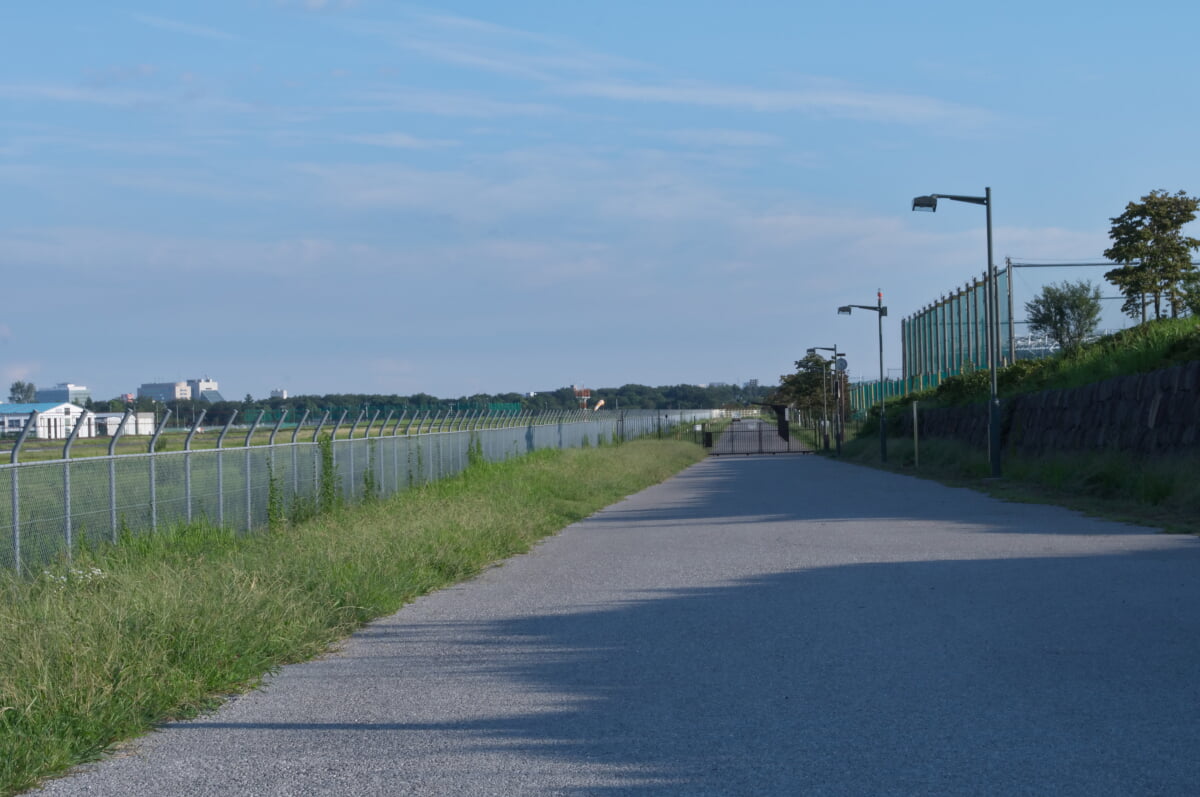 武蔵野の森公園の写真14