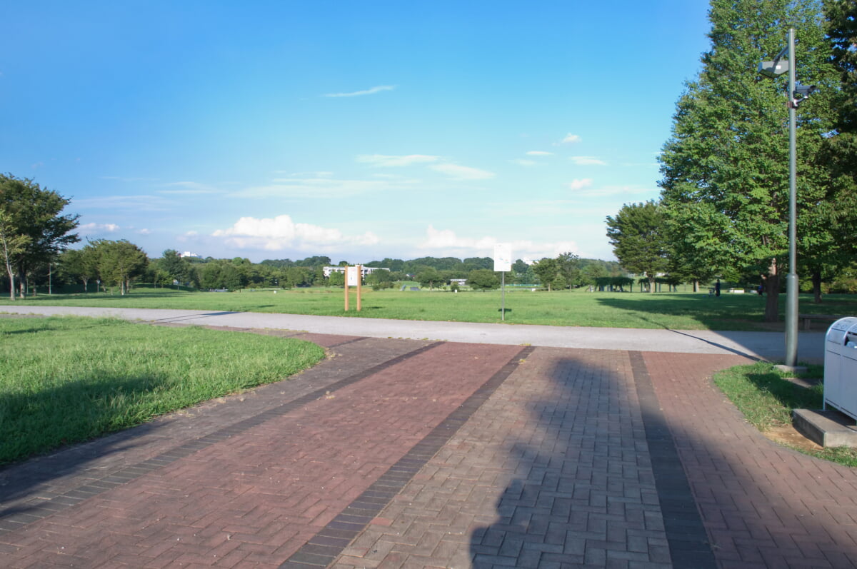武蔵野の森公園の写真15