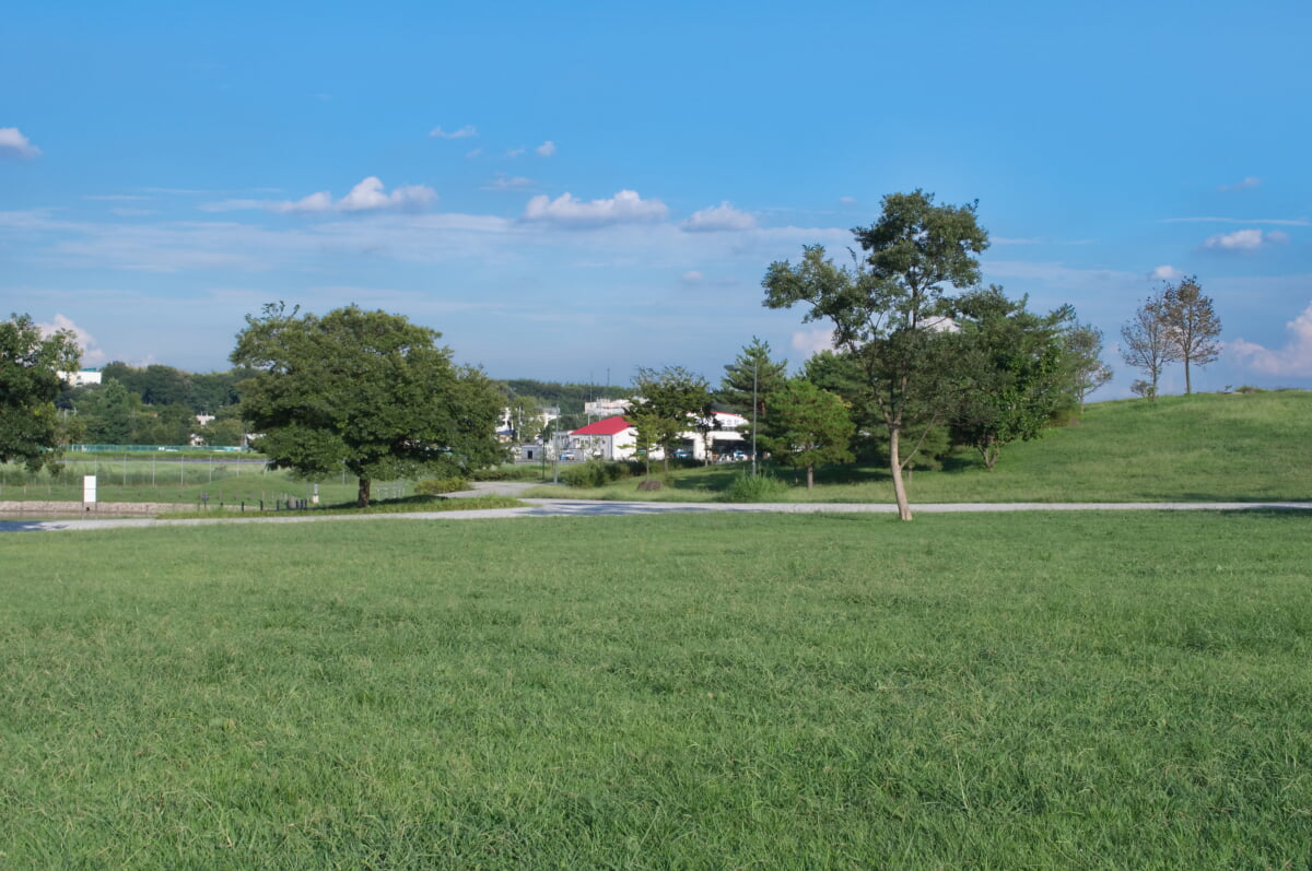 武蔵野の森公園の写真17