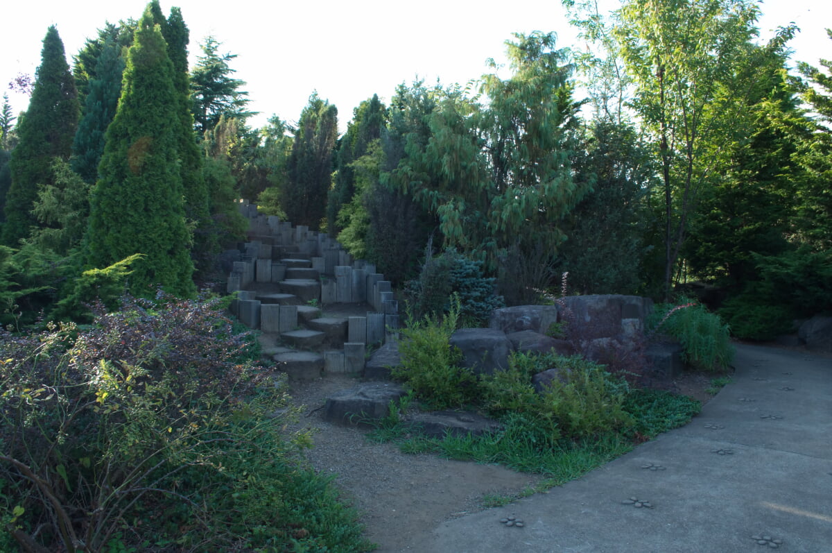 武蔵野の森公園の写真20