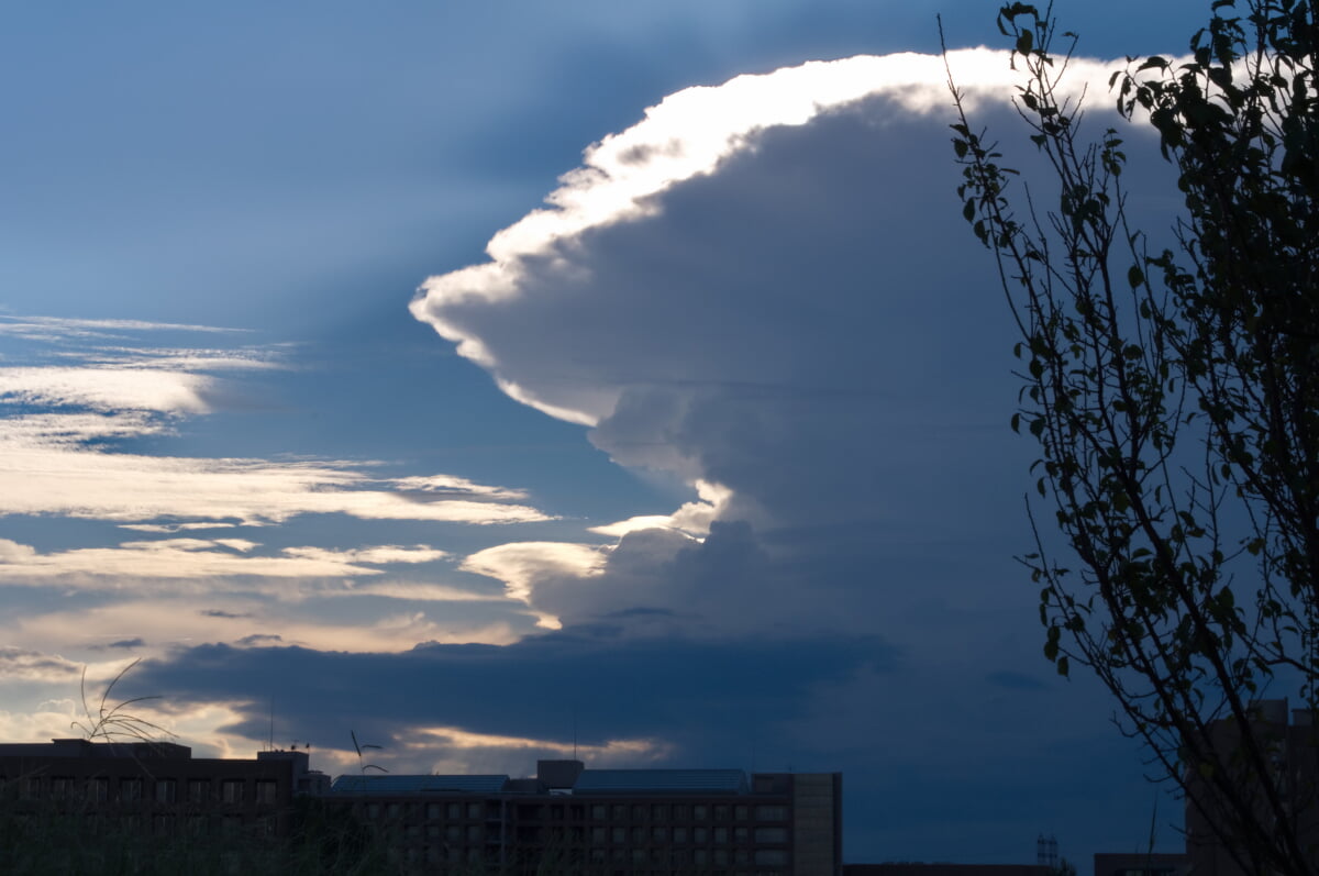 武蔵野の森公園の写真21