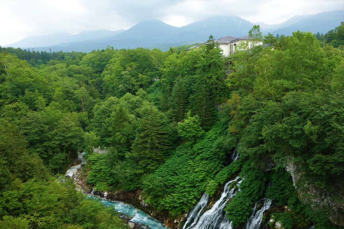 白ひげの滝の写真3