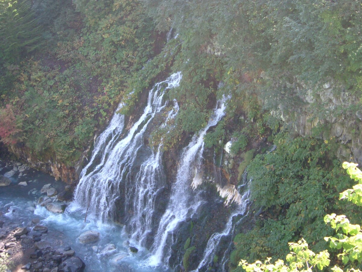 白ひげの滝の写真4