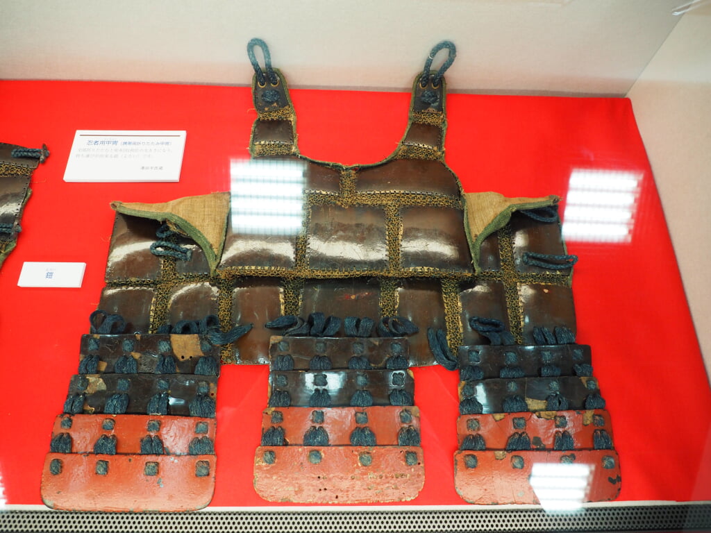 甲賀市くすり学習館の写真2