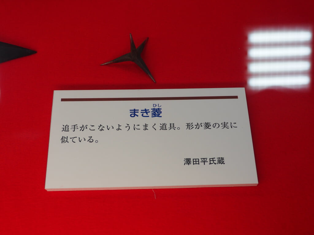 甲賀市くすり学習館の写真5