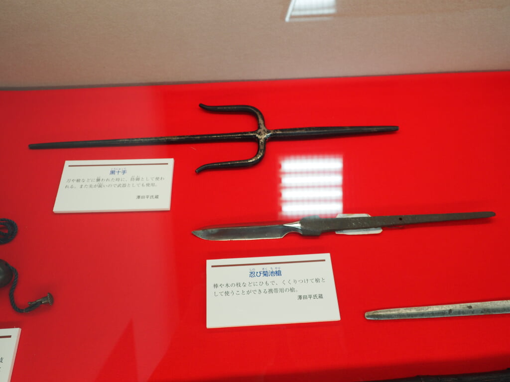 甲賀市くすり学習館の写真14