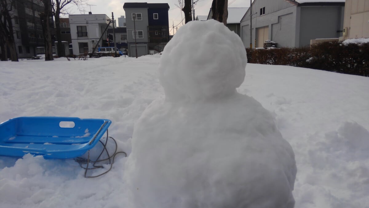 東札幌公園の写真1