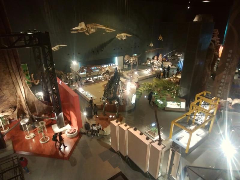 神奈川県立 生命の星・地球博物館の写真3