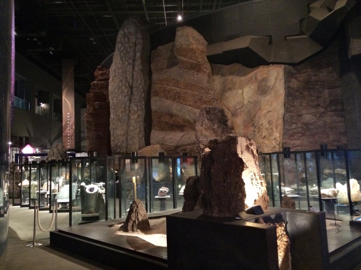 神奈川県立 生命の星・地球博物館の写真7