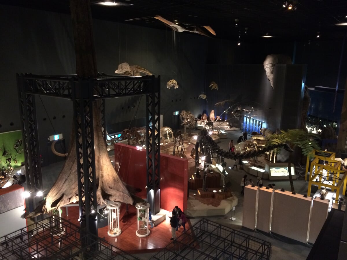 神奈川県立 生命の星・地球博物館の写真8