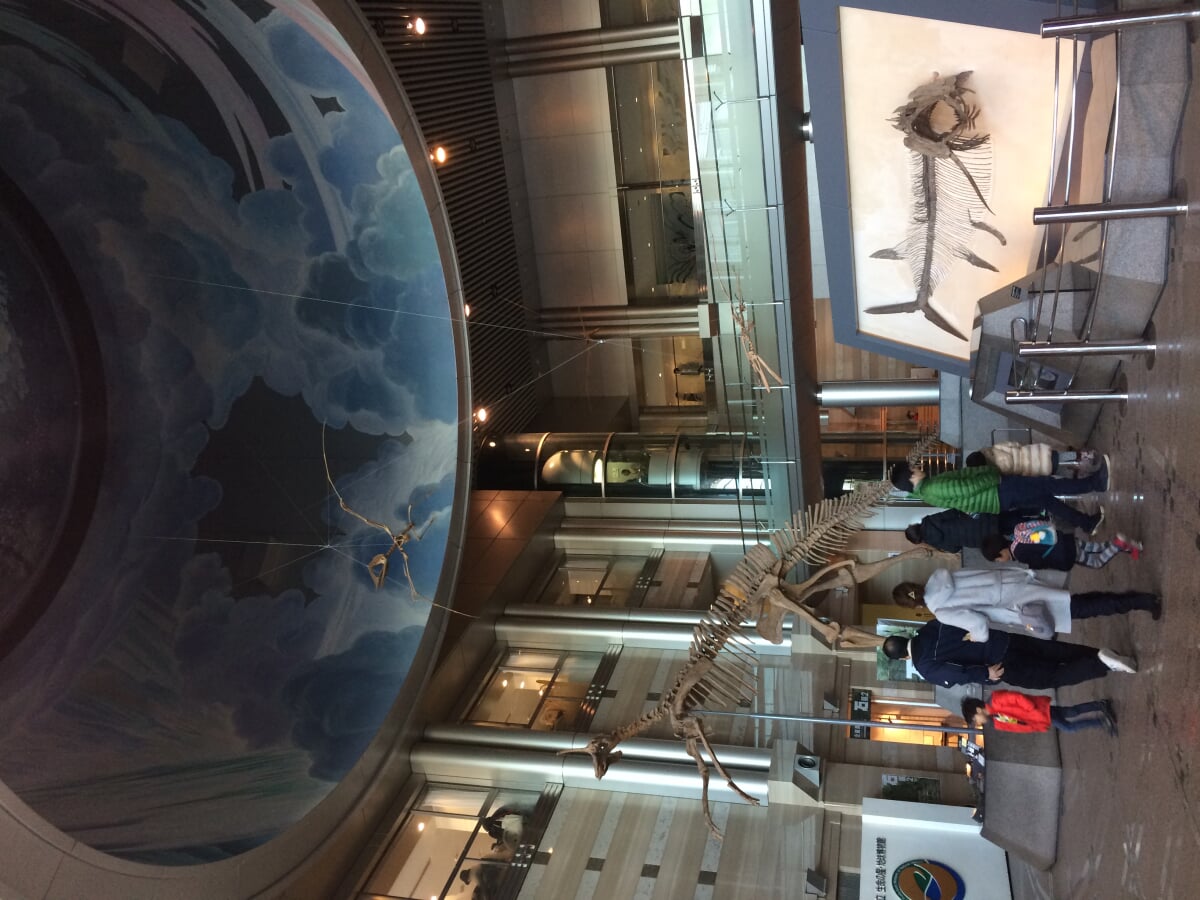 神奈川県立 生命の星・地球博物館の写真9