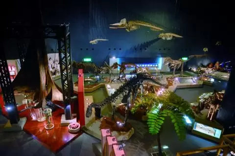 神奈川県立 生命の星・地球博物館の写真1