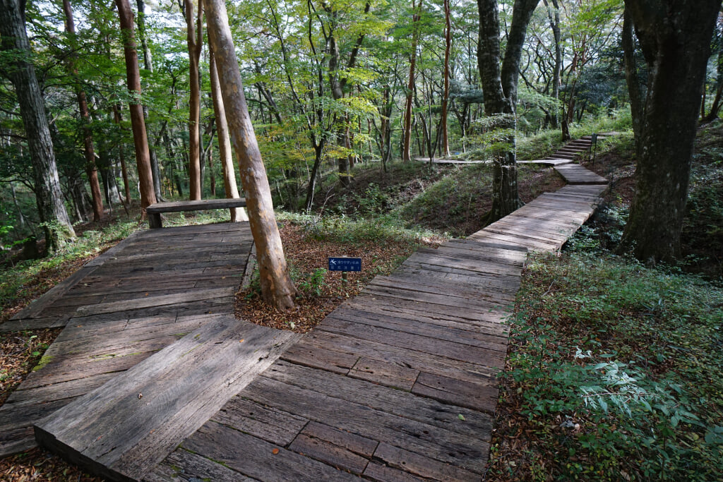 ポーラ美術館の写真3