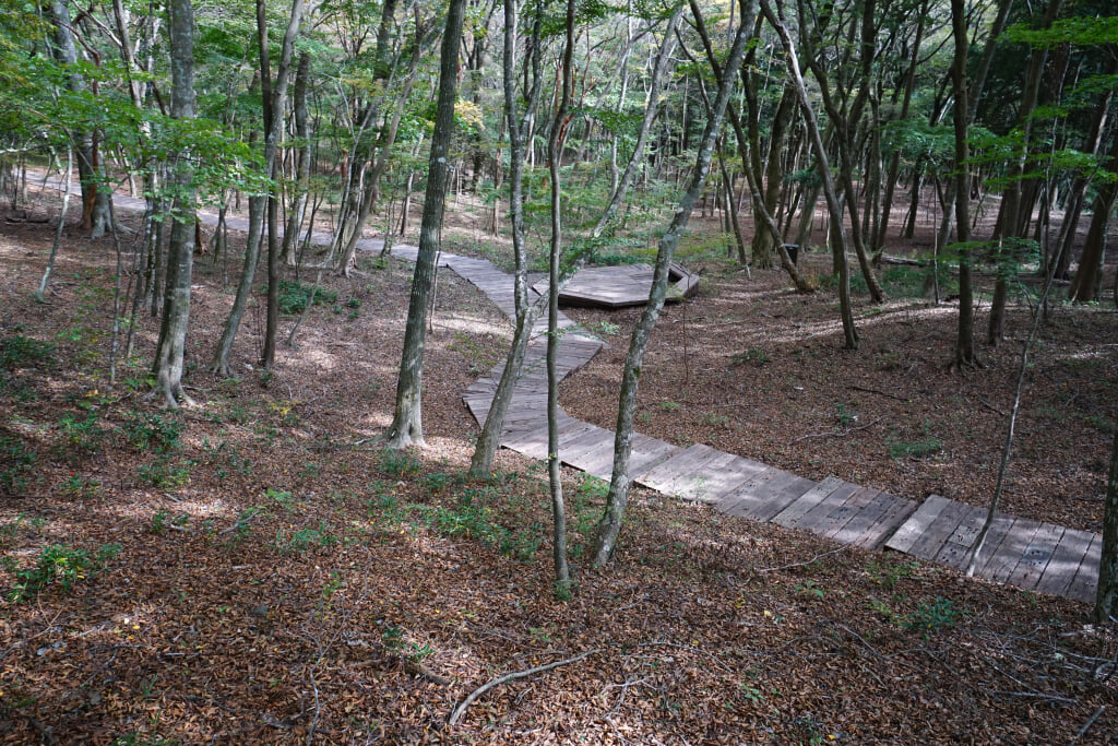 ポーラ美術館の写真6