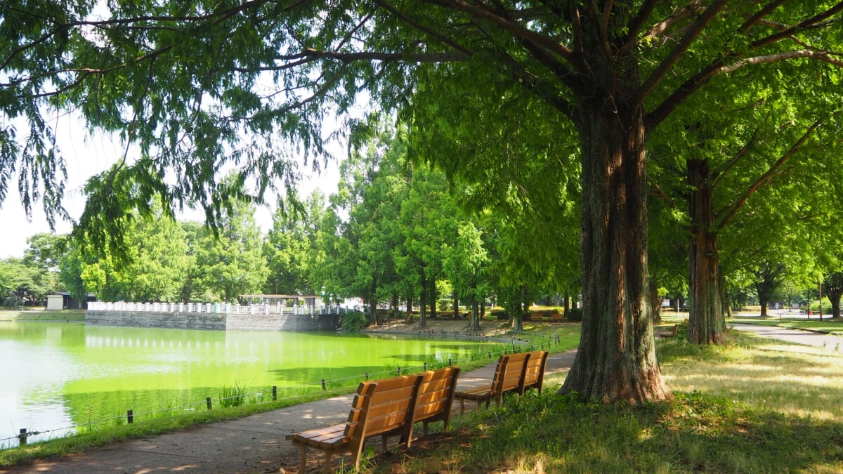 川越水上公園の写真2