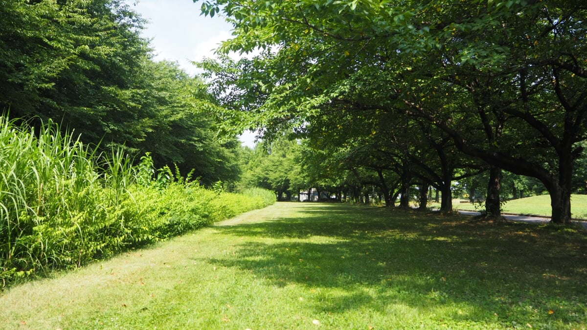 川越水上公園の写真5