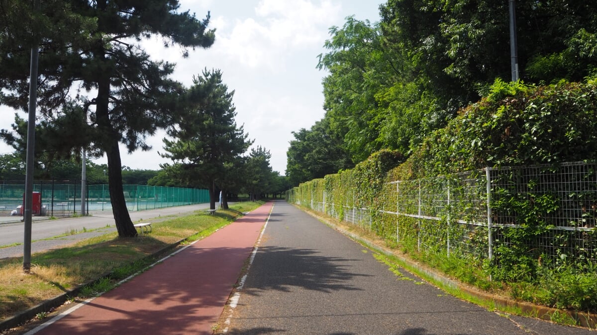 川越水上公園の写真7