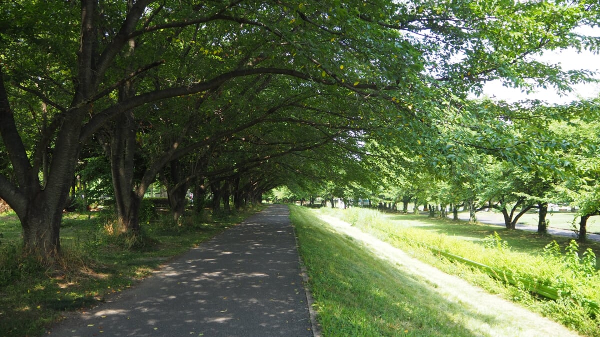 川越水上公園の写真9