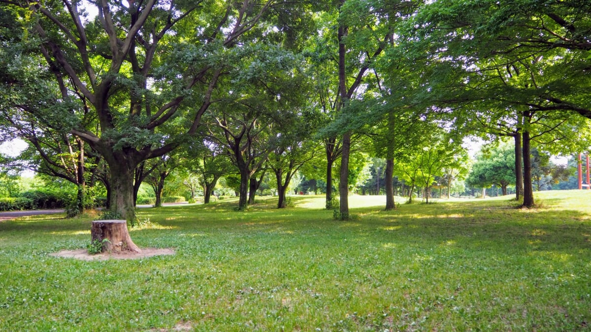 川越水上公園の写真10