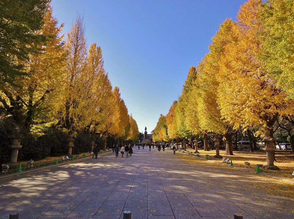靖國神社の写真12