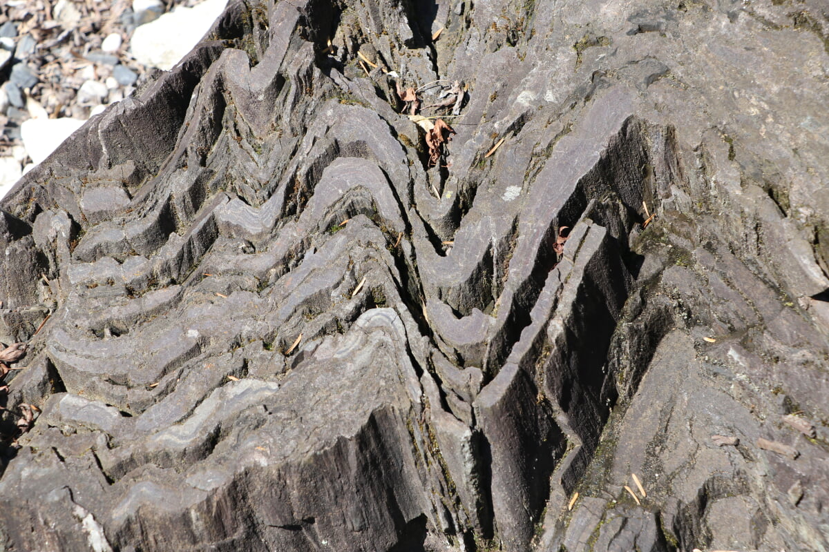 埼玉県立自然の博物館の写真2