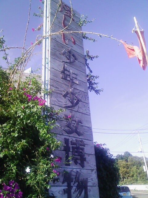 怪しい少年少女博物館の写真2