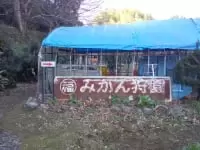 マルフクガーデン