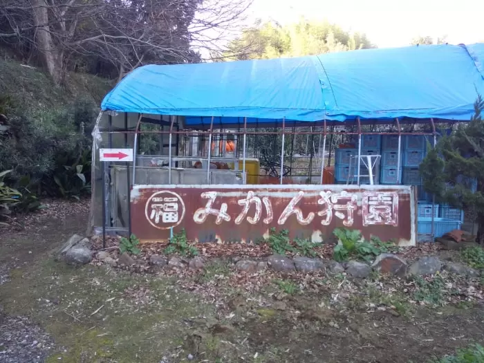 マルフクガーデンの写真1