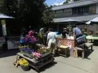 キウイフルーツカントリーJapan