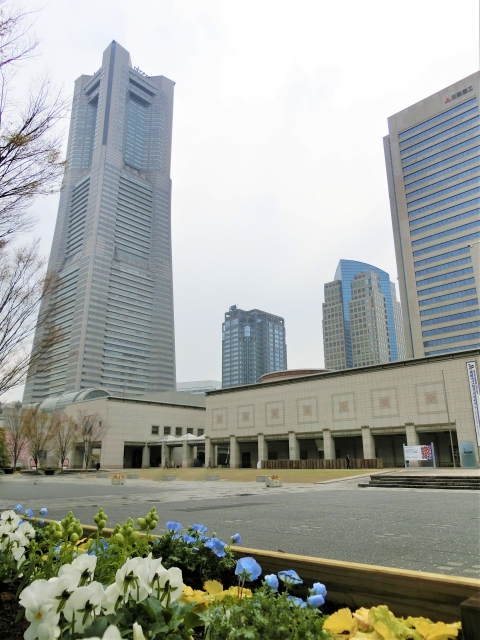 横浜美術館の写真3