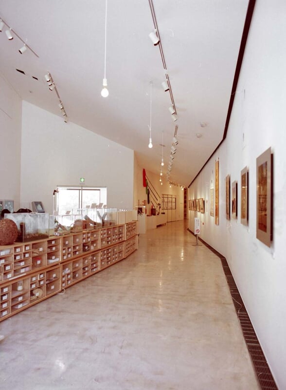 キョロロの写真3