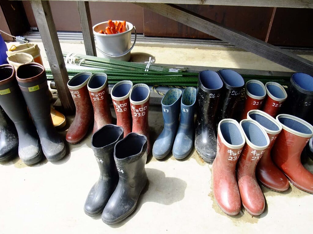 キョロロの写真7