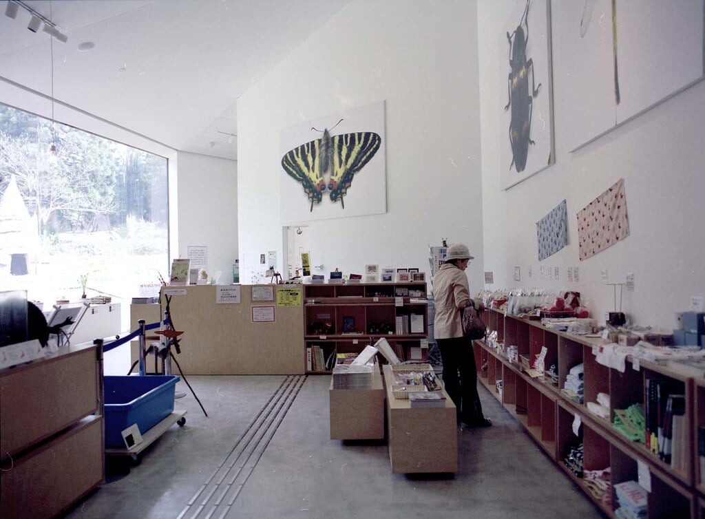 キョロロの写真13