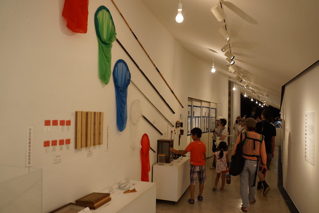 キョロロの写真14