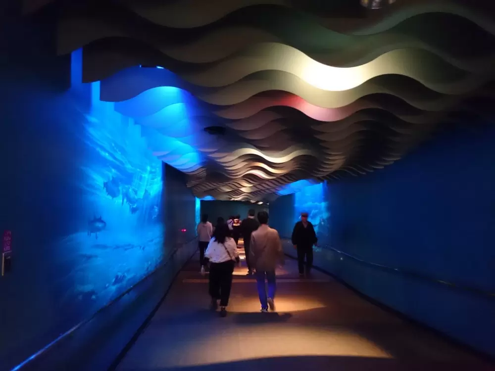 イヨボヤ会館の写真1