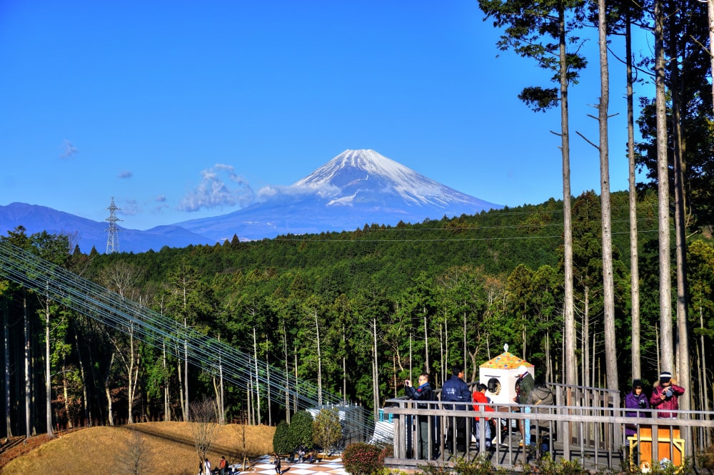 三島スカイウォークの写真2