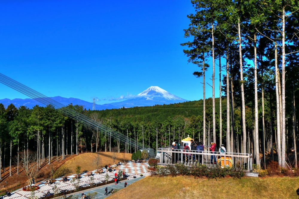 三島スカイウォークの写真3