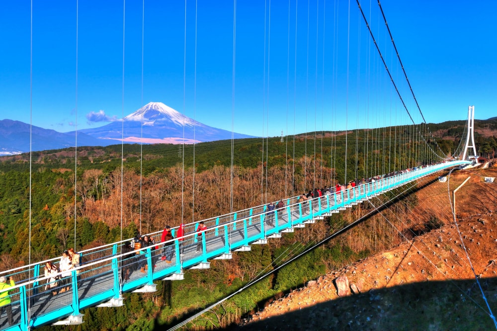 三島スカイウォークの写真4