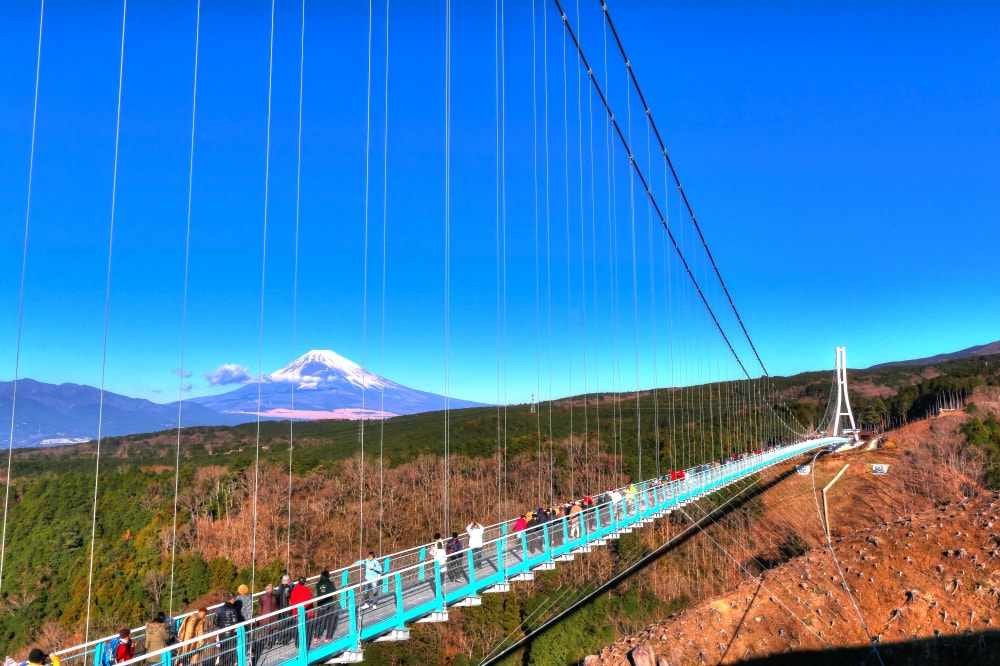 三島スカイウォークの写真5