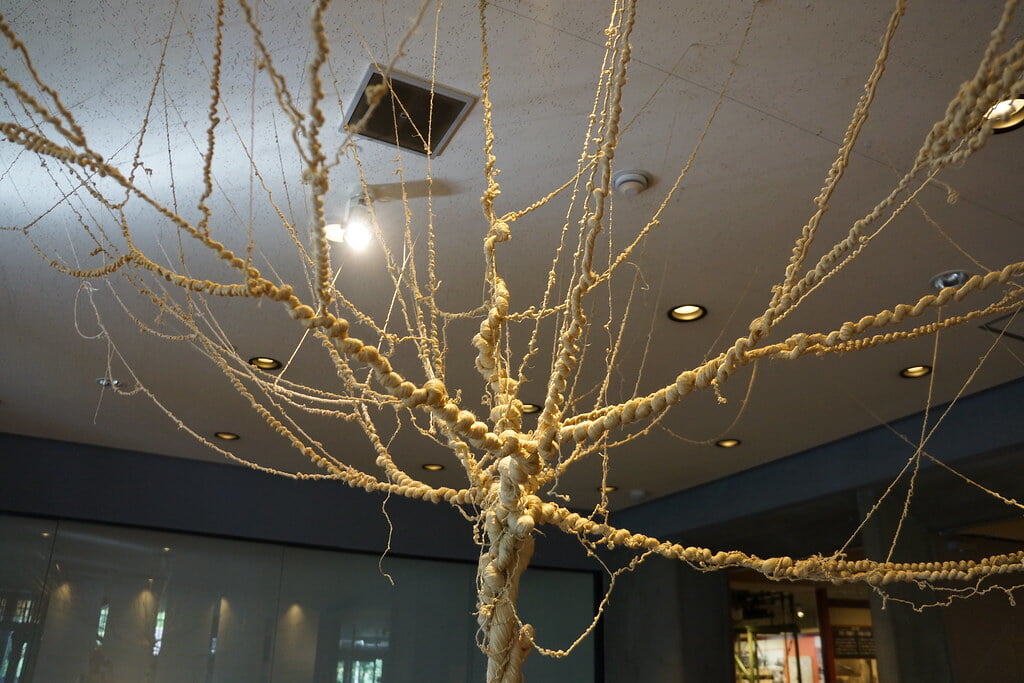 十日町市博物館の写真13