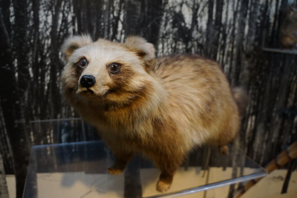 十日町市博物館の写真16