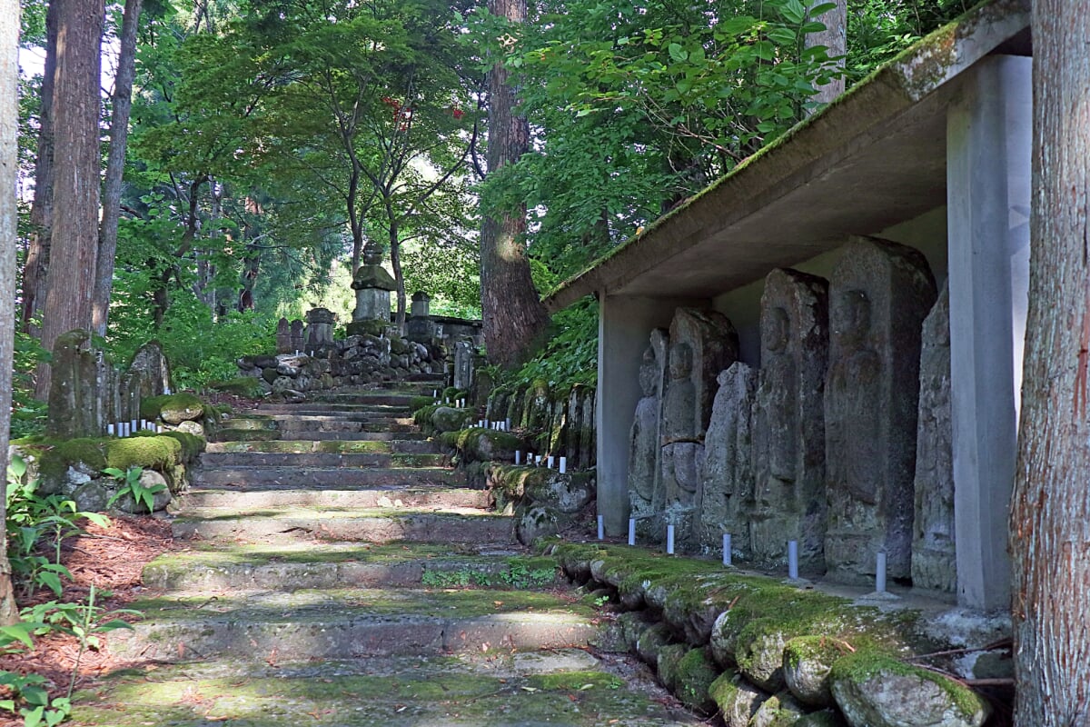 富山県 立山博物館の写真5
