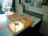 室生犀星記念館