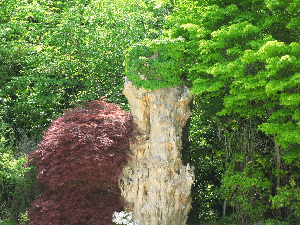 久保田一竹美術館の写真7