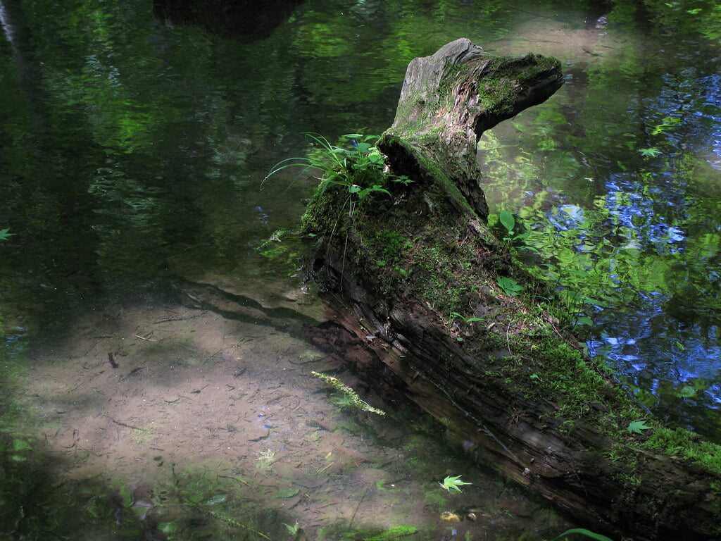 久保田一竹美術館の写真11