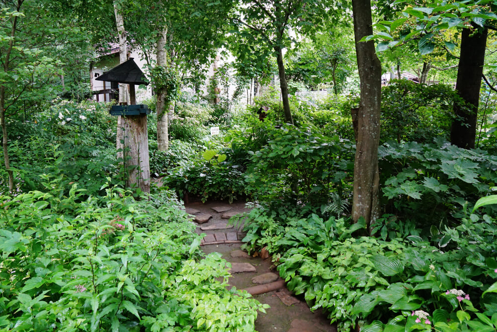 小淵沢絵本美術館の写真2